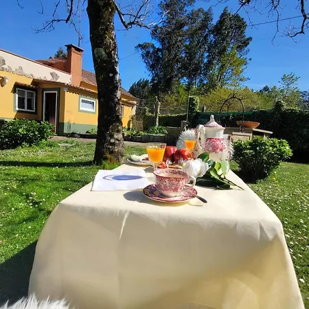 Dom wakacyjny La Casita 